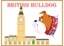 British Bulldog 2024! British Bulldog 2024!